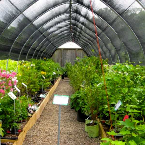 estufa de flores com tela para horta costurada