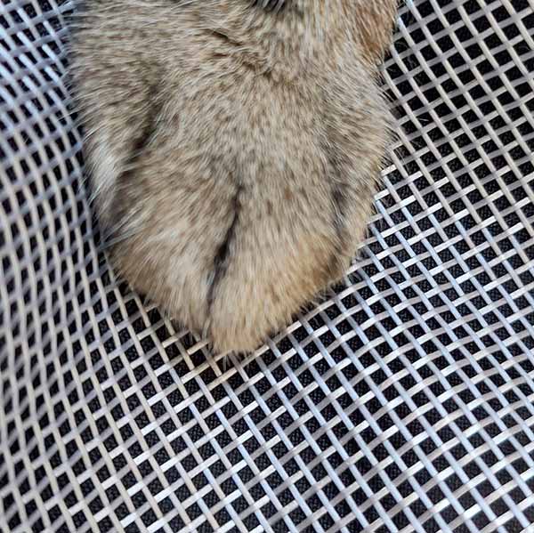 Tela para pet abertura 1,4 mm - Imagem 3